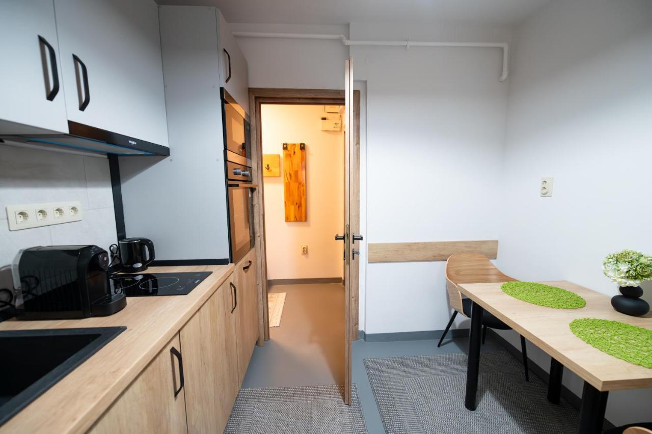 Fortuna Apartments Baia Mare Eksteriør billede